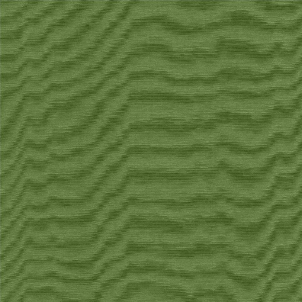 Lucinda Grass by Kasmir Fabric 5166 72% Rayon
28% Polyester
 CHINA 40,000 Martindale Cycles Horizontal: N/A and Vertical: N/A 54 - Fabric Carolina -