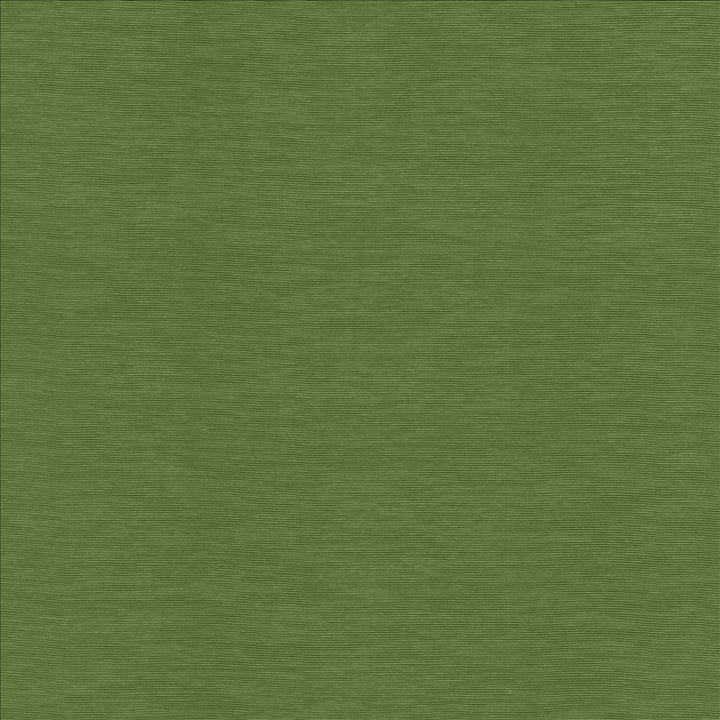 Lucinda Grass by Kasmir Fabric 5166 72% Rayon
28% Polyester
 CHINA 40,000 Martindale Cycles Horizontal: N/A and Vertical: N/A 54 - Fabric Carolina -