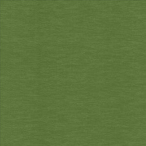 Lucinda Grass by Kasmir Fabric