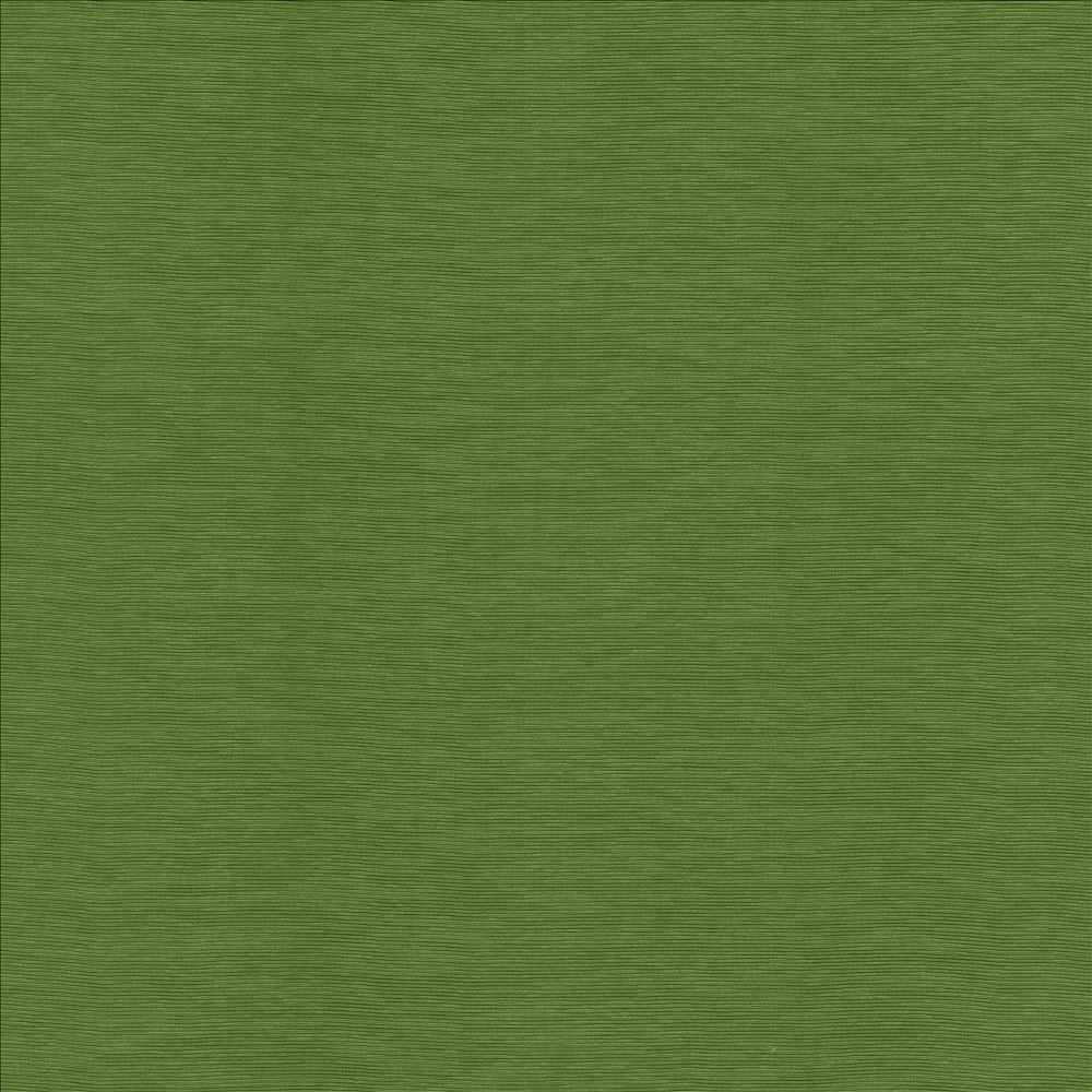 Lucinda Grass by Kasmir Fabric 5166 72% Rayon
28% Polyester
 CHINA 40,000 Martindale Cycles </p><p>Repeat: Horizontal: N/A and Vertical: N/A 54 - Fabric Carolina -