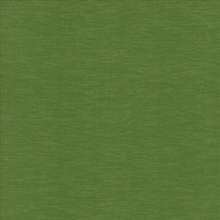 Lucinda Grass by Kasmir Fabric 5166 72% Rayon
28% Polyester
 CHINA 40,000 Martindale Cycles </p><p>Repeat: Horizontal: N/A and Vertical: N/A 54 - Fabric Carolina -