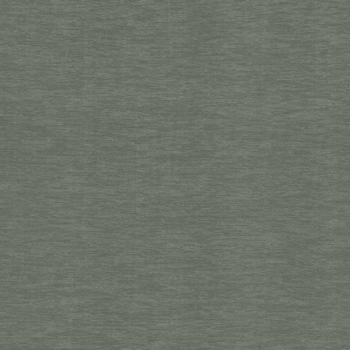 Lucinda Grey by Kasmir Fabric 5166 72% Rayon
28% Polyester
 CHINA </p><p>Repeat: Horizontal: N/A and Vertical: N/A 54 - Fabric Carolina -