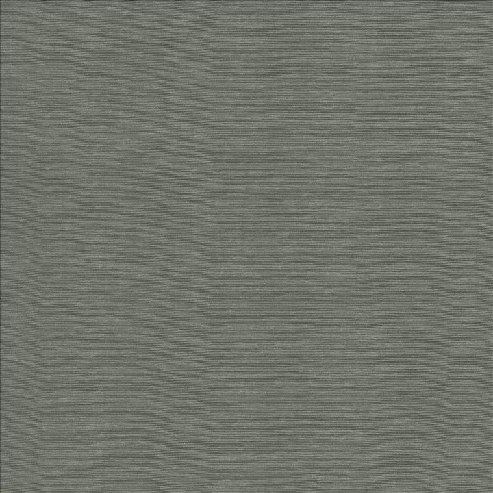 Lucinda Grey by Kasmir Fabric 5166 72% Rayon
28% Polyester
 CHINA 40,000 Martindale Cycles Horizontal: N/A and Vertical: N/A 54 - Fabric Carolina -
