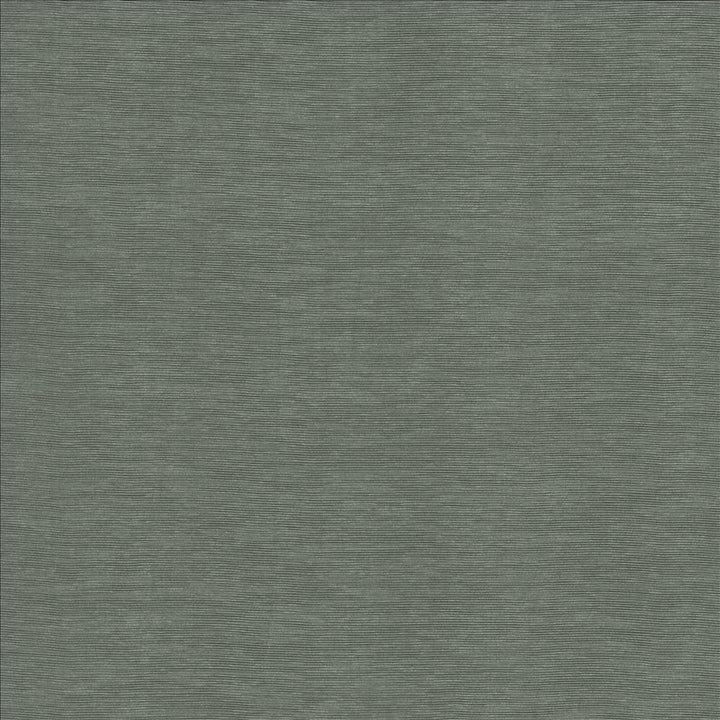 Lucinda Grey by Kasmir Fabric 5166 72% Rayon
28% Polyester
 CHINA 40,000 Martindale Cycles </p><p>Repeat: Horizontal: N/A and Vertical: N/A 54 - Fabric Carolina -