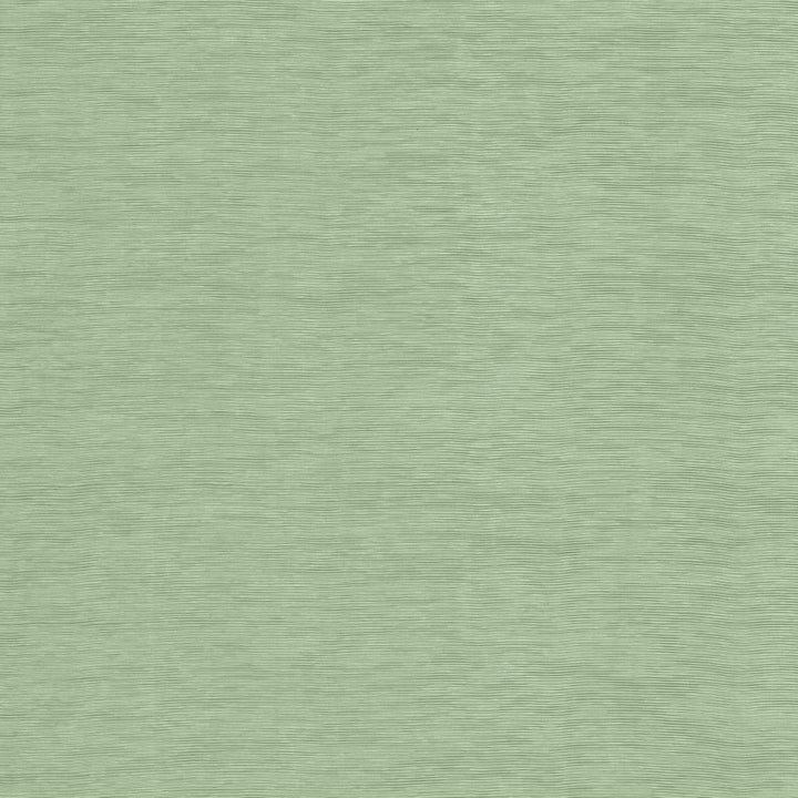 Lucinda Jade by Kasmir Fabric 5166 72% Rayon
28% Polyester
 CHINA </p><p>Repeat: Horizontal: N/A and Vertical: N/A 54 - Fabric Carolina -