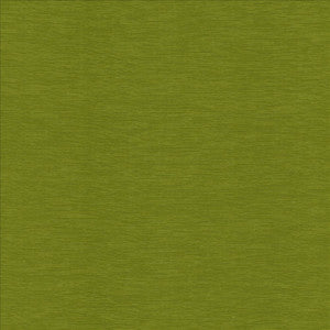 Lucinda Kiwi by Kasmir Fabric