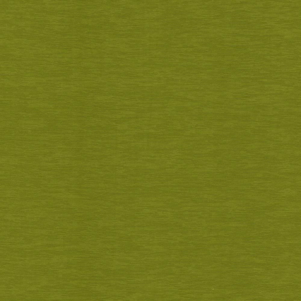 Lucinda Kiwi by Kasmir Fabric 5166 72% Rayon
28% Polyester
 CHINA </p><p>Repeat: Horizontal: N/A and Vertical: N/A 54 - Fabric Carolina -