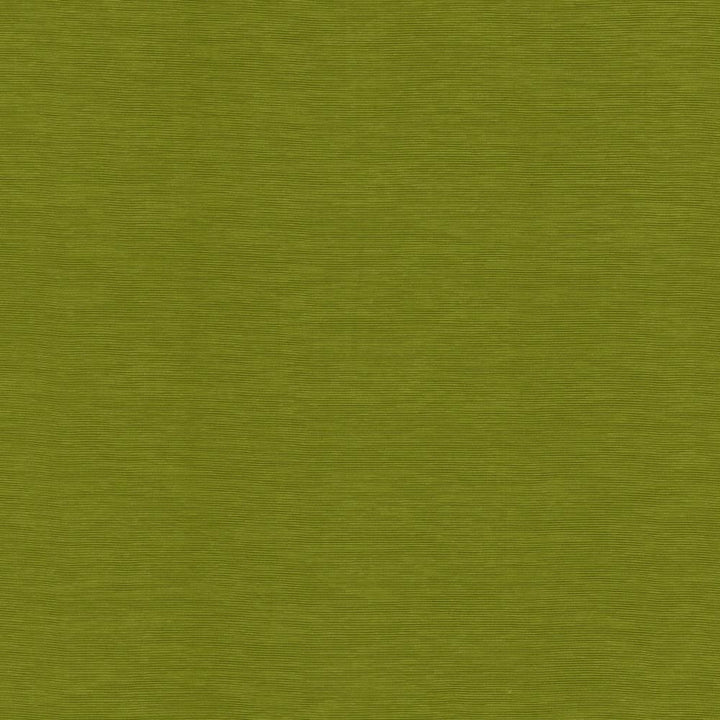Lucinda Kiwi by Kasmir Fabric 5166 72% Rayon
28% Polyester
 CHINA </p><p>Repeat: Horizontal: N/A and Vertical: N/A 54 - Fabric Carolina -