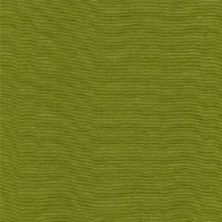 Lucinda Kiwi by Kasmir Fabric 5166 72% Rayon
28% Polyester
 CHINA </p><p>Repeat: Horizontal: N/A and Vertical: N/A 54 - Fabric Carolina -