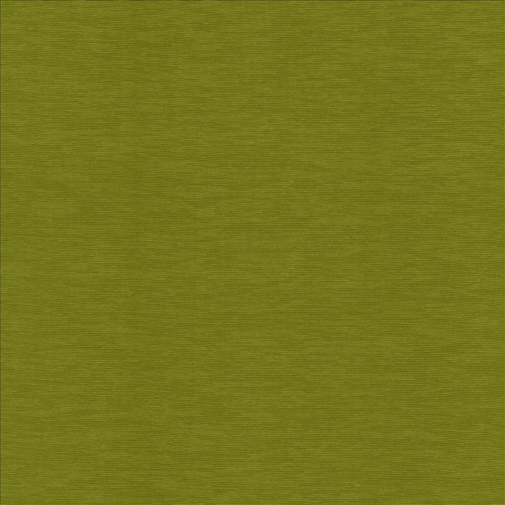 Lucinda Kiwi by Kasmir Fabric 5166 72% Rayon
28% Polyester
 CHINA 40,000 Martindale Cycles </p><p>Repeat: Horizontal: N/A and Vertical: N/A 54 - Fabric Carolina -