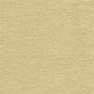 Lucinda Linen by Kasmir Fabric