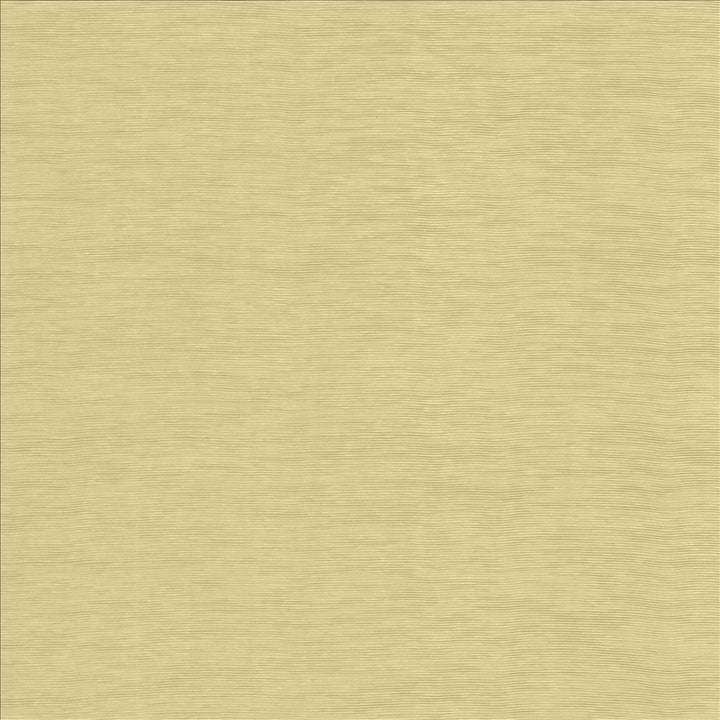 Lucinda Linen by Kasmir Fabric 5166 72% Rayon
28% Polyester
 CHINA 40,000 Martindale Cycles </p><p>Repeat: Horizontal: N/A and Vertical: N/A 54 - Fabric Carolina -