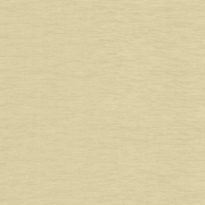 Lucinda Oatmeal by Kasmir Fabric 5166 72% Rayon
28% Polyester
 CHINA </p><p>Repeat: Horizontal: N/A and Vertical: N/A 54 - Fabric Carolina -