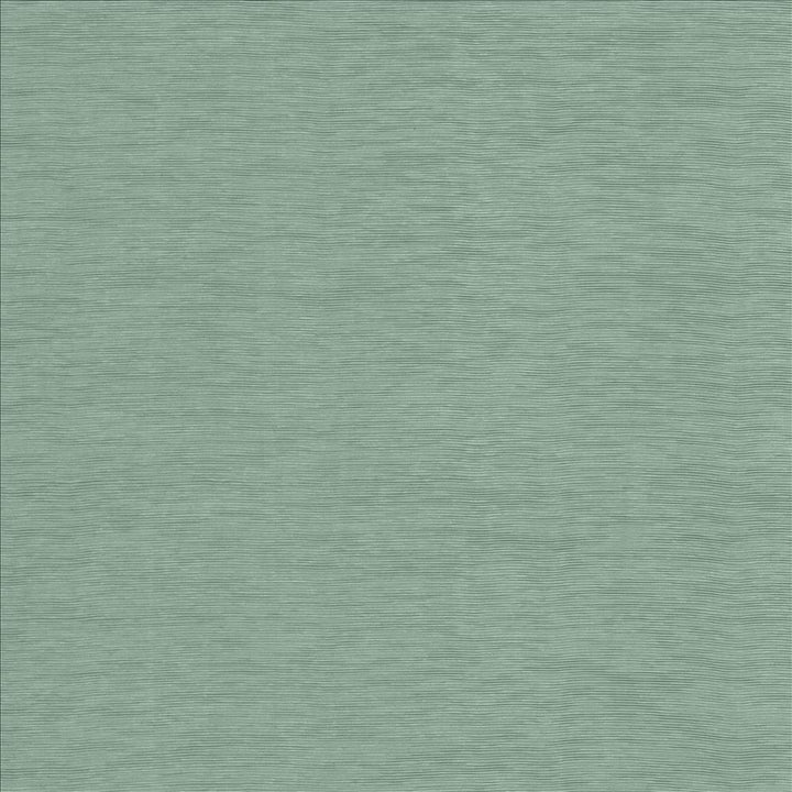 Lucinda Seaglass by Kasmir Fabric 5166 72% Rayon
28% Polyester
 CHINA 40,000 Martindale Cycles </p><p>Repeat: Horizontal: N/A and Vertical: N/A 54 - Fabric Carolina -