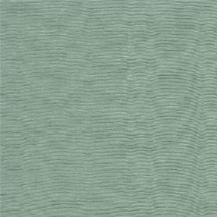 Lucinda Seaglass by Kasmir Fabric 5166 72% Rayon
28% Polyester
 CHINA 40,000 Martindale Cycles Horizontal: N/A and Vertical: N/A 54 - Fabric Carolina -