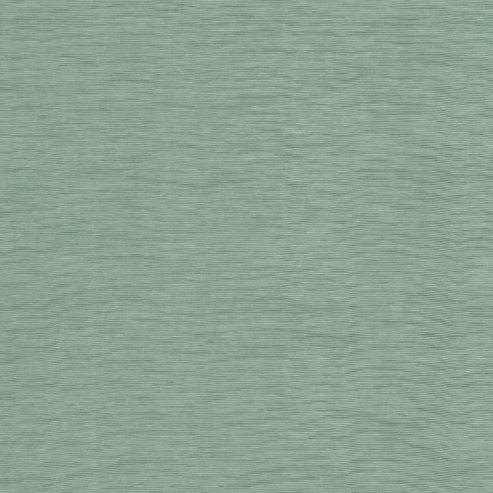 Lucinda Seaglass by Kasmir Fabric 5166 72% Rayon
28% Polyester
 CHINA </p><p>Repeat: Horizontal: N/A and Vertical: N/A 54 - Fabric Carolina -