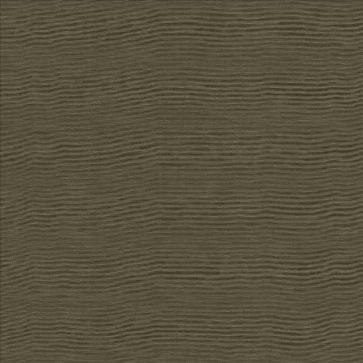 Lucinda Smoke by Kasmir Fabric 5166 72% Rayon
28% Polyester
 CHINA 40,000 Martindale Cycles Horizontal: N/A and Vertical: N/A 54 - Fabric Carolina -