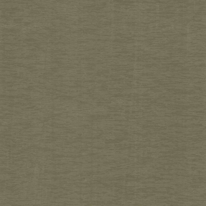 Lucinda Stone by Kasmir Fabric 5166 72% Rayon
28% Polyester
 CHINA </p><p>Repeat: Horizontal: N/A and Vertical: N/A 54 - Fabric Carolina -