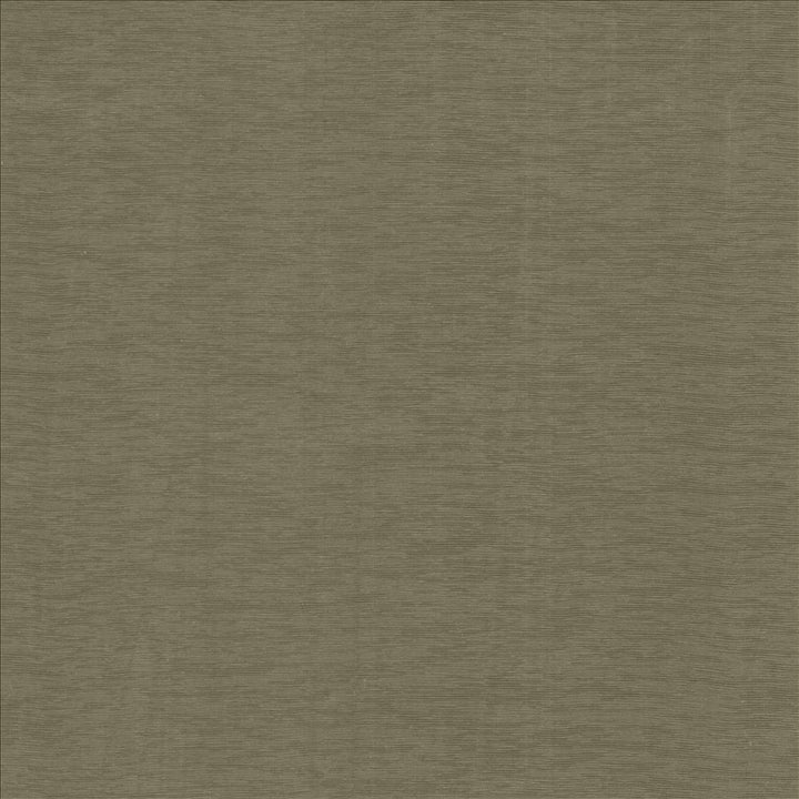 Lucinda Stone by Kasmir Fabric 5166 72% Rayon
28% Polyester
 CHINA 40,000 Martindale Cycles </p><p>Repeat: Horizontal: N/A and Vertical: N/A 54 - Fabric Carolina -