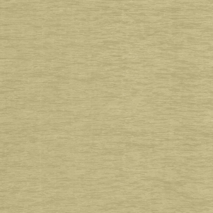 Lucinda Taupe by Kasmir Fabric 5166 72% Rayon
28% Polyester
 CHINA </p><p>Repeat: Horizontal: N/A and Vertical: N/A 54 - Fabric Carolina -