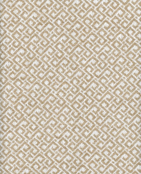 Lugano Rattan By Roth & Tompkins Fabric