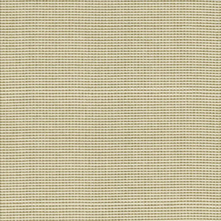 Lunar Crossing Natural by Kasmir Fabric 1457 100% Polyester
 INDIA </p><p>Repeat: Horizontal: N/A and Vertical: N/A 56 - Fabric Carolina -