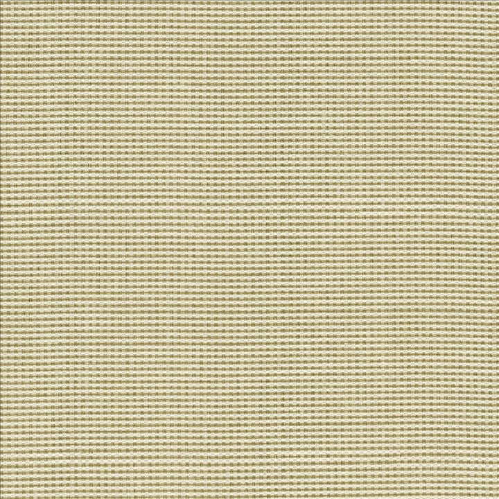 Lunar Crossing Natural by Kasmir Fabric 1457 100% Polyester
 INDIA 30,000 Wyzenbeek Double Rubs </p><p>Repeat: Horizontal: N/A and Vertical: N/A 56 - Fabric Carolina -