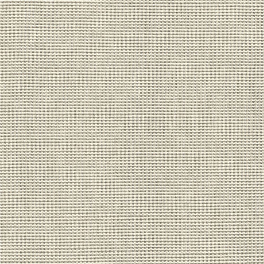 Lunar Crossing Silver by Kasmir Fabric 1457 100% Polyester
 INDIA 30,000 Wyzenbeek Double Rubs </p><p>Repeat: Horizontal: N/A and Vertical: N/A 56 - Fabric Carolina -