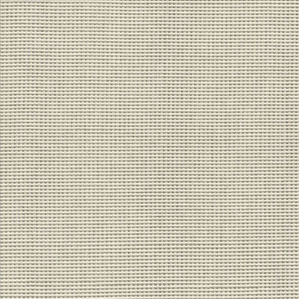 Lunar Crossing Silver  by Kasmir Fabric See sample 100% Polyester
 INDIA 30,000 Wyzenbeek Double Rubs </p><p>Repeat: Horizontal: N/A and Vertical: N/A 56  - Fabric Carolina -