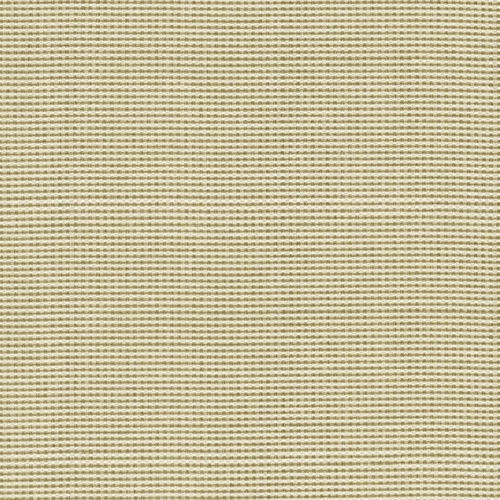 Lunar Crossing Natural by Kasmir Fabric 1457 100% Polyester
 INDIA </p><p>Repeat: Horizontal: N/A and Vertical: N/A 56 - Fabric Carolina -