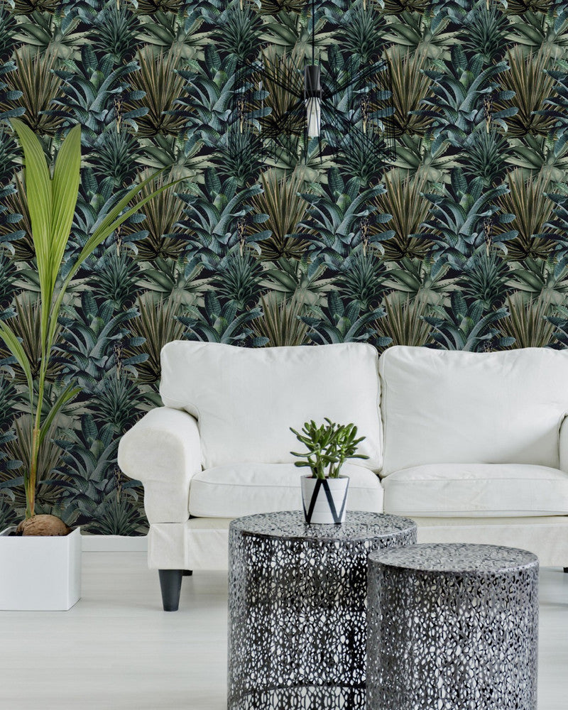 LUSH SUCCULENTS Wallpaper (WP20164) by Mind The Gap | WP20164 | PREMIUM DESIGNER WALLPAPER COLLECTION | 3 rolls x 20.5 x 118.1 in | 0.52m / 20.5in | 3m / 118in | 4.65mp | 52cm / 20.5in | Black, Green | Non-woven | Paste the wall | 3-rolls in a box | Fabric Carolina | https://www.fabriccarolina.com/