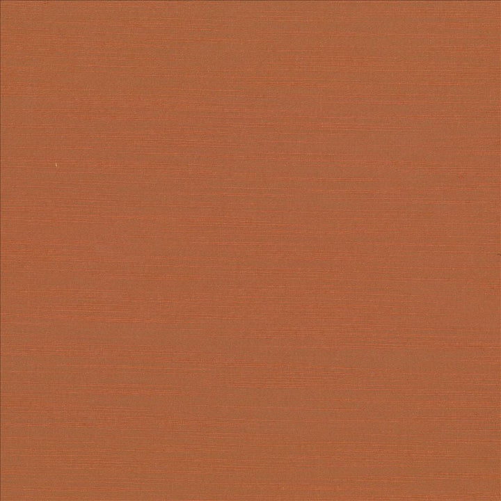 Luxe Adobe by Kasmir Fabric 1447 88% Rayon 12% Polyester USA 21,000 Wyzenbeek Double Rubs Horizontal: 0 Inches and Vertical: 0 Inches 54 - Fabric Carolina -