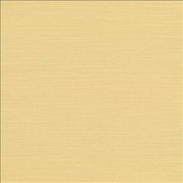 Luxe Bone by Kasmir Fabric 1447 88% Rayon 12% Polyester USA 21,000 Wyzenbeek Double Rubs H: N/A, V: N/A 54 - Fabric Carolina - Kasmir
