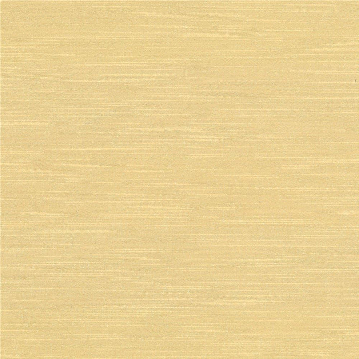 Luxe Bone by Kasmir Fabric 1447 88% Rayon
12% Polyester
 USA 21,000 Wyzenbeek Double Rubs Horizontal: N/A and Vertical: N/A 54 - Fabric Carolina -
