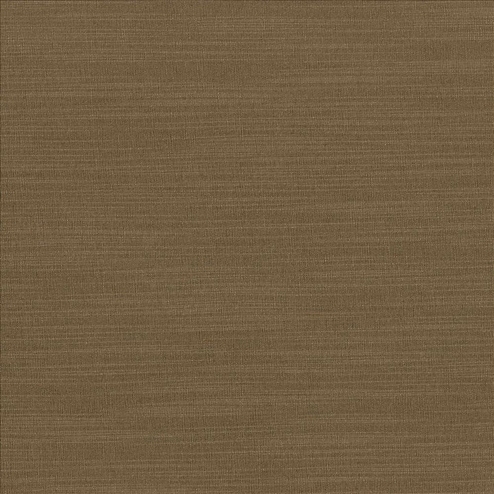 Luxe Bronze by Kasmir Fabric 1447 88% Rayon
12% Polyester
 USA </p><p>Repeat: Horizontal: N/A and Vertical: N/A 54 - Fabric Carolina -