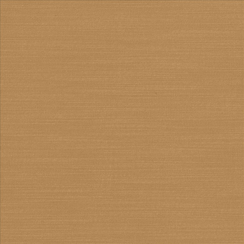 Luxe Camel by Kasmir Fabric 1447 88% Rayon
12% Polyester
 USA 21,000 Wyzenbeek Double Rubs </p><p>Repeat: Horizontal: N/A and Vertical: N/A 54 - Fabric Carolina -
