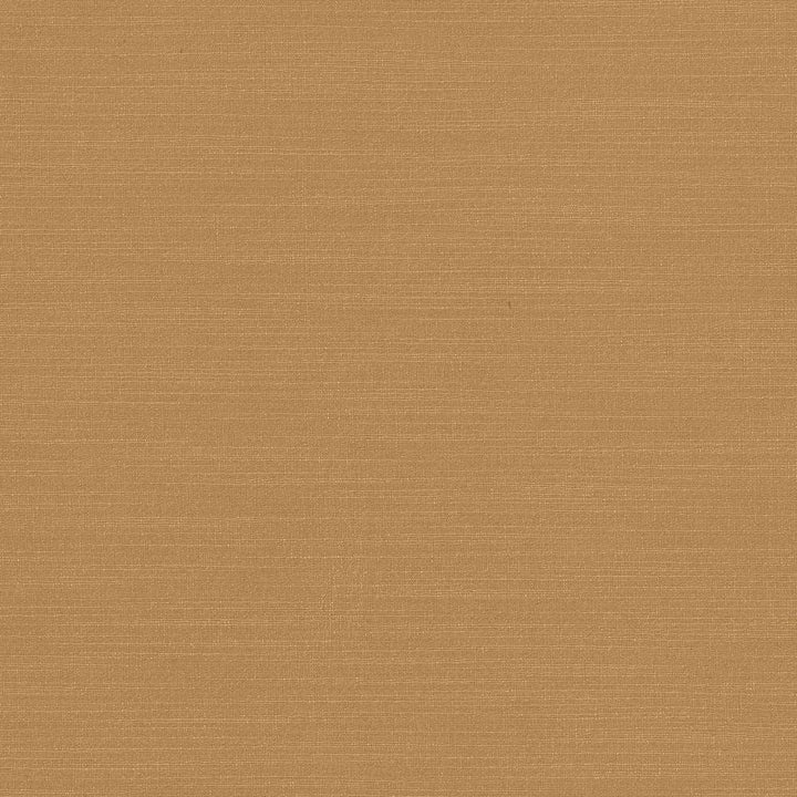 Luxe Camel by Kasmir Fabric 1447 88% Rayon
12% Polyester
 USA </p><p>Repeat: Horizontal: N/A and Vertical: N/A 54 - Fabric Carolina -