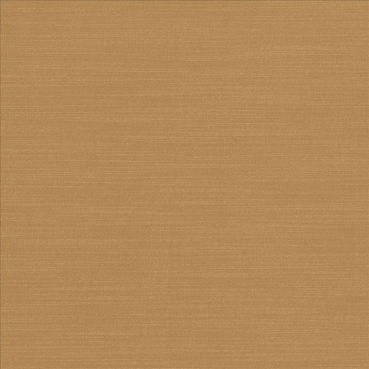 Luxe Camel by Kasmir Fabric 1447 88% Rayon
12% Polyester
 USA </p><p>Repeat: Horizontal: N/A and Vertical: N/A 54 - Fabric Carolina -