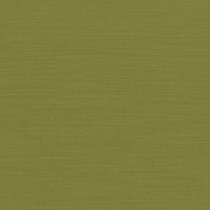 Luxe Chartreuse by Kasmir Fabric 1447 88% Rayon
12% Polyester
 USA </p><p>Repeat: Horizontal: N/A and Vertical: N/A 54 - Fabric Carolina -