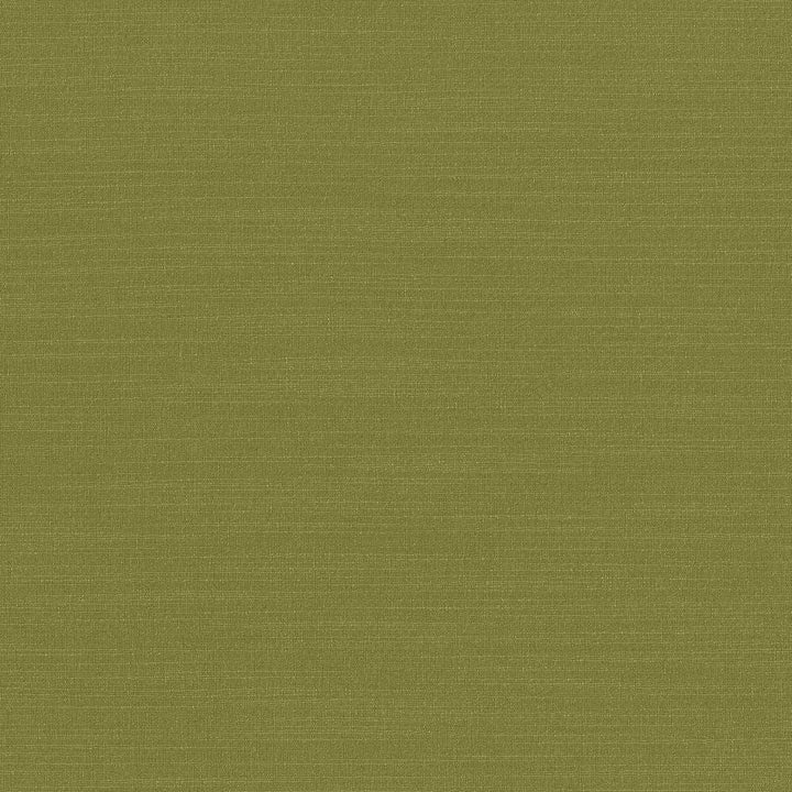 Luxe Chartreuse by Kasmir Fabric 1447 USA 21,000 Wyzenbeek Double Rubs H: N/A, V:N/A 54 - Fabric Carolina - Kasmir