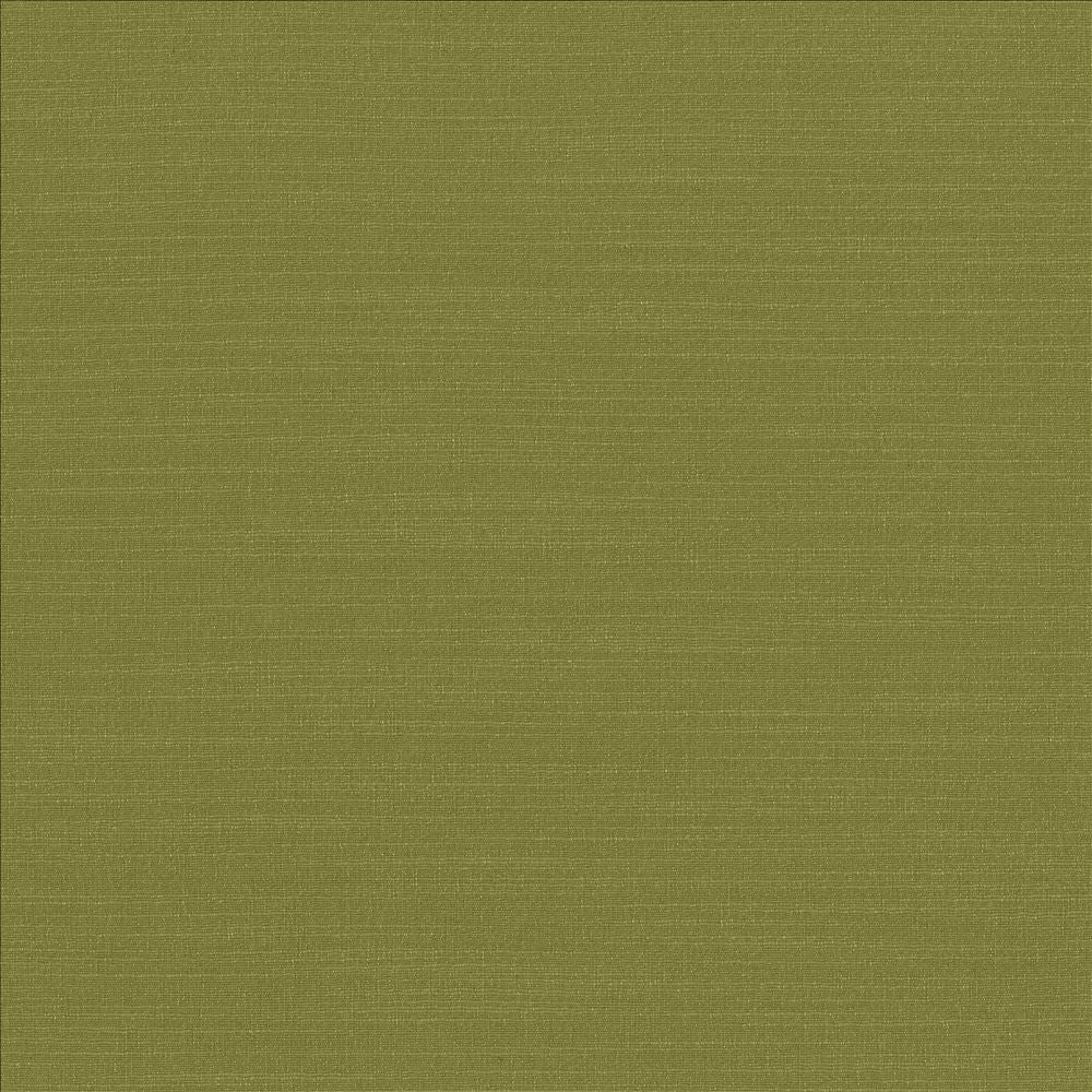 Luxe Chartreuse by Kasmir Fabric 1447 88% Rayon 12% Polyester USA 21,000 Wyzenbeek Double Rubs Horizontal: 0 Inches and Vertical: 0 Inches 54 - Fabric Carolina -