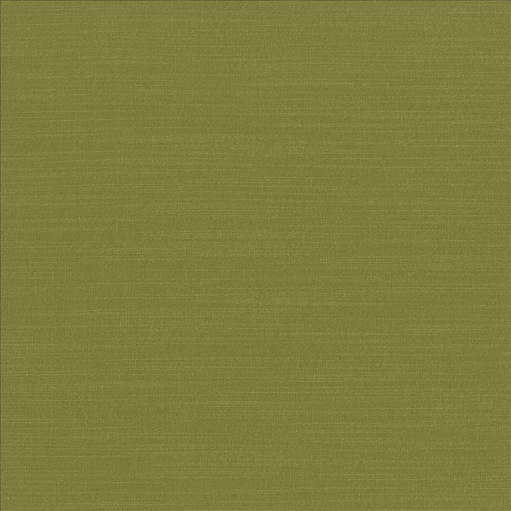 Luxe Chartreuse by Kasmir Fabric 1447 88% Rayon 12% Polyester USA 21,000 Wyzenbeek Double Rubs Horizontal: 0 Inches and Vertical: 0 Inches 54 - Fabric Carolina -