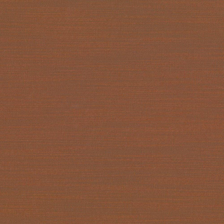 Luxe Clay by Kasmir Fabric 1447 88% Rayon
12% Polyester
 USA </p><p>Repeat: Horizontal: N/A and Vertical: N/A 54 - Fabric Carolina -