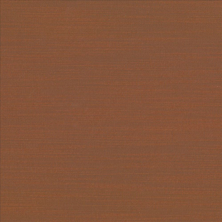 Luxe Clay by Kasmir Fabric 1447 88% Rayon
12% Polyester
 USA 21,000 Wyzenbeek Double Rubs </p><p>Repeat: Horizontal: N/A and Vertical: N/A 54 - Fabric Carolina -