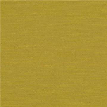 Luxe Curry by Kasmir Fabric 1447 88% Rayon 12% Polyester USA 21,000 Wyzenbeek Double Rubs H: N/A, V: N/A 54 - Fabric Carolina - Kasmir