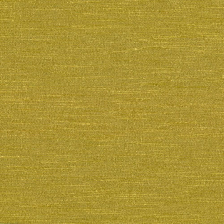 Luxe Curry by Kasmir Fabric 1447 88% Rayon
12% Polyester
 USA 21,000 Wyzenbeek Double Rubs Horizontal: N/A and Vertical: N/A 54 - Fabric Carolina -