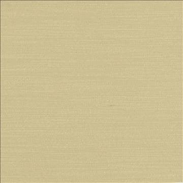 Luxe Dove by Kasmir Fabric 1447 88% Rayon 12% Polyester USA 21,000 Wyzenbeek Double Rubs H: N/A, V: N/A 54 - Fabric Carolina - Kasmir