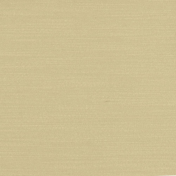 Luxe Dove by Kasmir Fabric 1447 USA 21,000 Wyzenbeek Double Rubs H: N/A, V:N/A 54 - Fabric Carolina - Kasmir