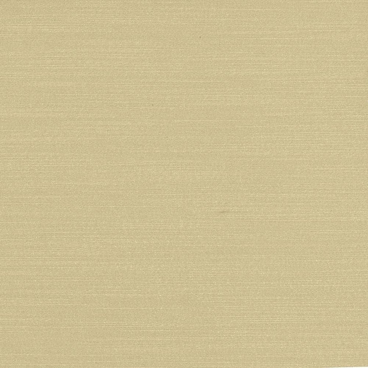Luxe Dove by Kasmir Fabric 1447 88% Rayon
12% Polyester
 USA </p><p>Repeat: Horizontal: N/A and Vertical: N/A 54 - Fabric Carolina -