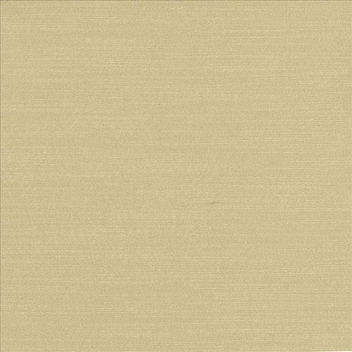 Luxe Dove by Kasmir Fabric 1447 88% Rayon
12% Polyester
 USA 21,000 Wyzenbeek Double Rubs </p><p>Repeat: Horizontal: N/A and Vertical: N/A 54 - Fabric Carolina -
